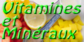 Guide des vitamines et des minéraux