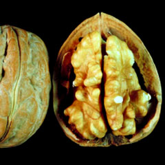 Vitamines, mineraux, oligo-éléments et assimilés